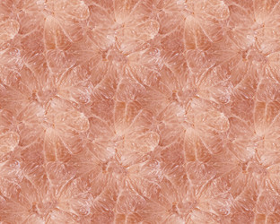 Similar image 21310572