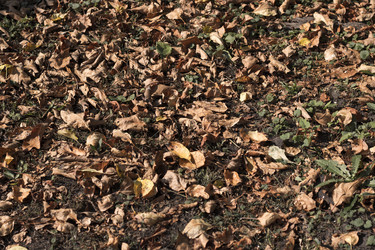 Similar image 21321702