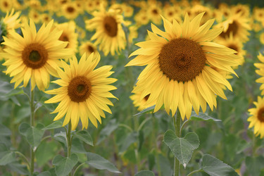 Similar image 21321580