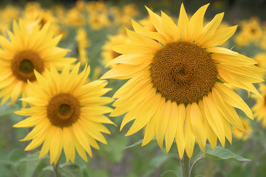 Similar image 21321581