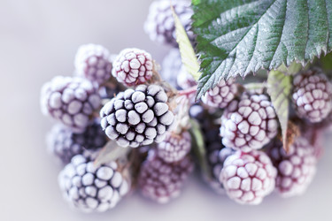 Similar image 21321588