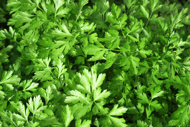 Similar image 21321589