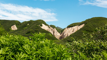 Similar image 21310579