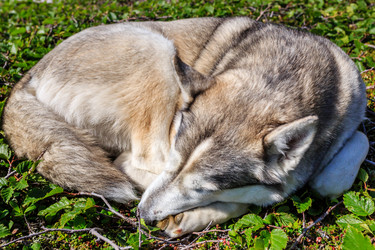 Similar image 21310580