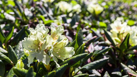 Similar image 21310581