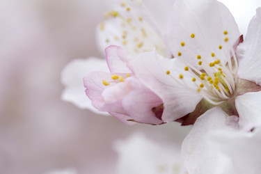 Similar image 21310591