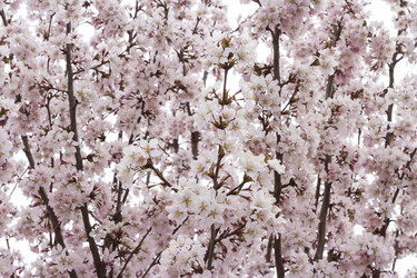 Similar image 21310592