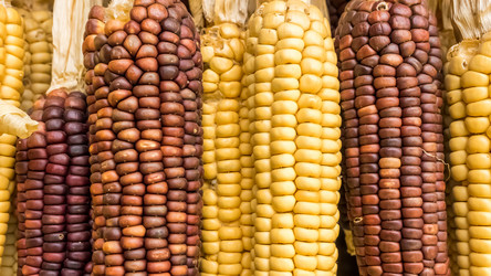 Similar image 21310596