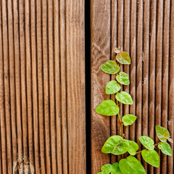 Similar image 21310597