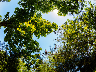 Similar image 21310598