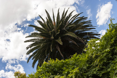 Similar image 21310603