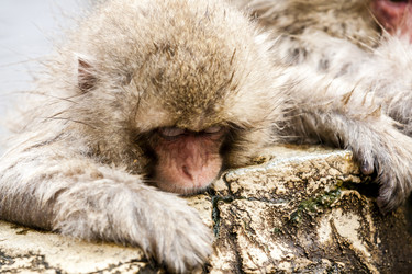 Similar image 21310610