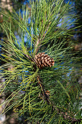 Similar image 21310910