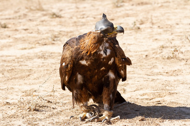 Similar image 21310616