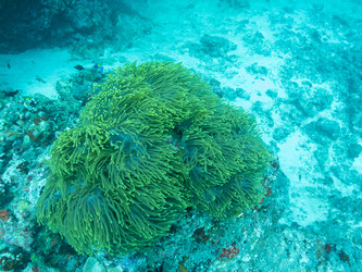 Similar image 21310621