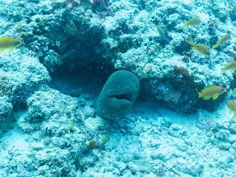 Similar image 21310623