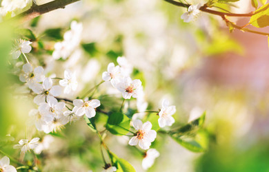 Similar image 21317172