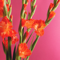 Similar image 21319480