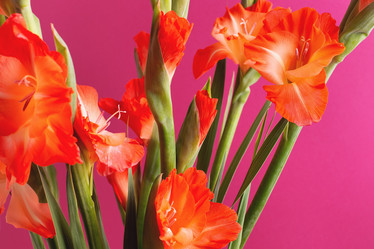 Similar image 21317177