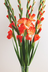 Similar image 21317178