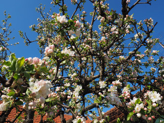 Similar image 21343118