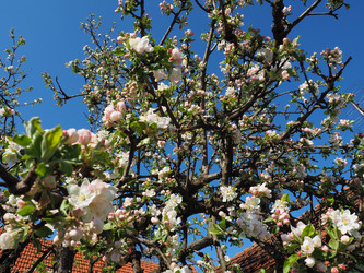 Similar image 21343162