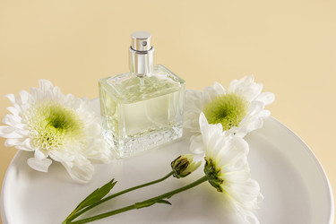 Similar image 21313772