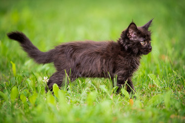 Similar image 21327764