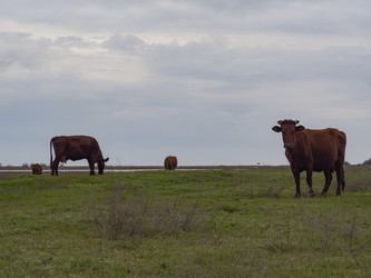 Similar image 21310832