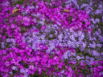 Similar image 21310833