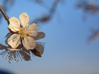 Similar image 21310835