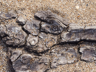 Similar image 21310838