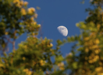 Similar image 21310845