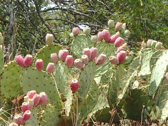 Similar image 21319961