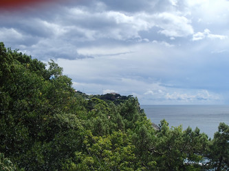 Similar image 21319962