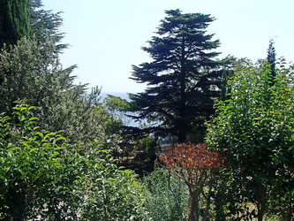 Similar image 21322909