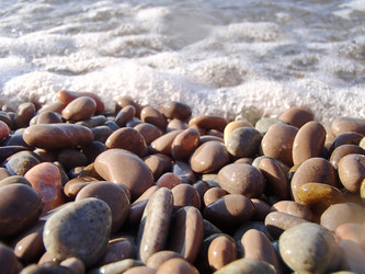 Similar image 21315849