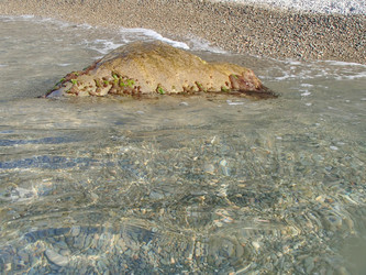 Similar image 21319968