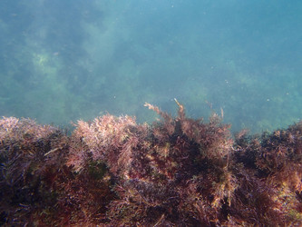 Similar image 21319970