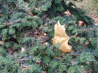 Similar image 21321281