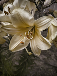 Similar image 21336126