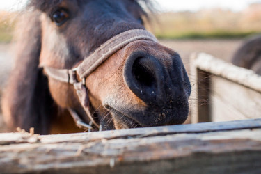 Similar image 21326644