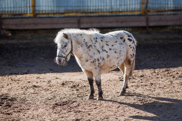 Similar image 21326645