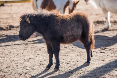 Similar image 21328030