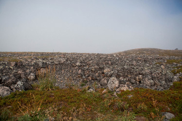 Similar image 21328128