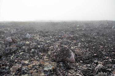 Similar image 21328134