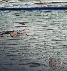 Similar image 21310849