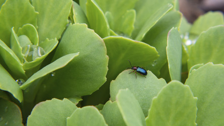 Similar image 21310852