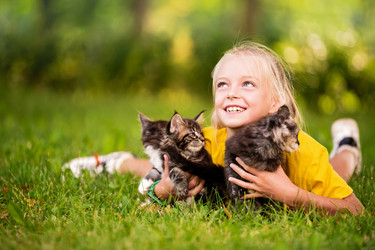 Similar image 21327773