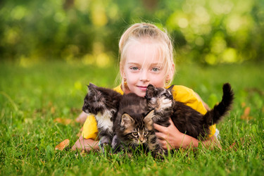 Similar image 21327776